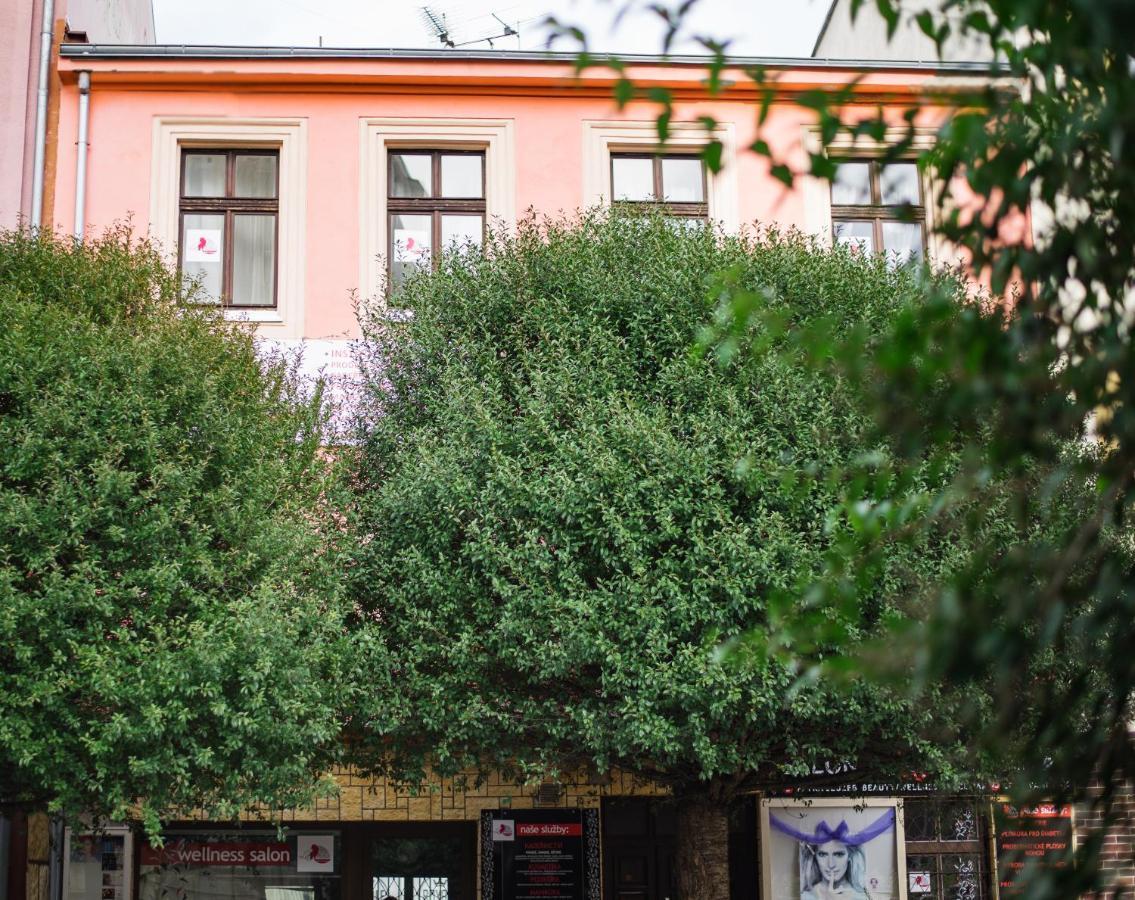 Beauty-Spa Apartment Дечин Екстер'єр фото