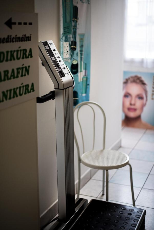 Beauty-Spa Apartment Дечин Екстер'єр фото