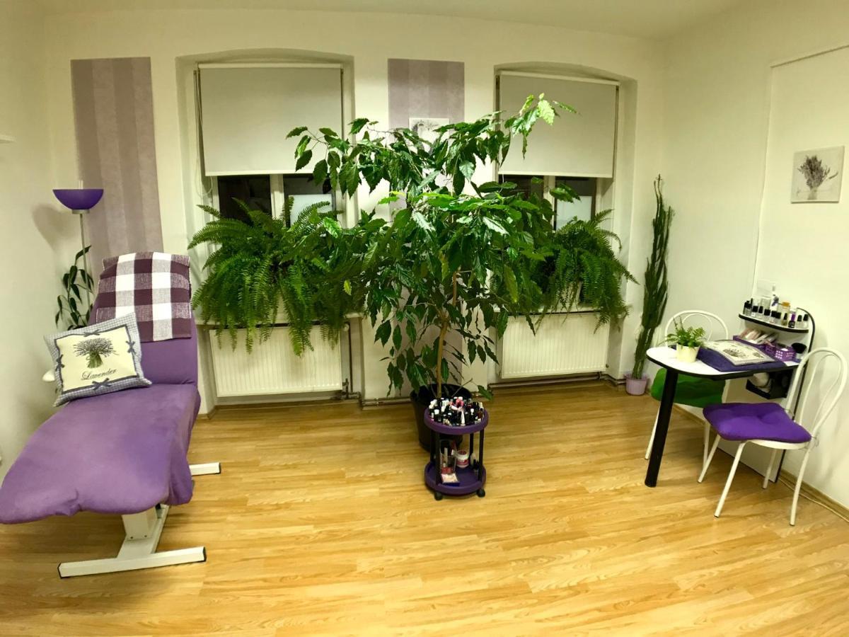 Beauty-Spa Apartment Дечин Екстер'єр фото