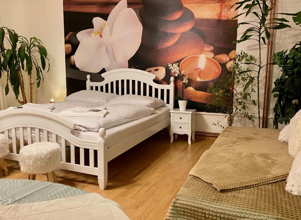 Beauty-Spa Apartment Дечин Екстер'єр фото